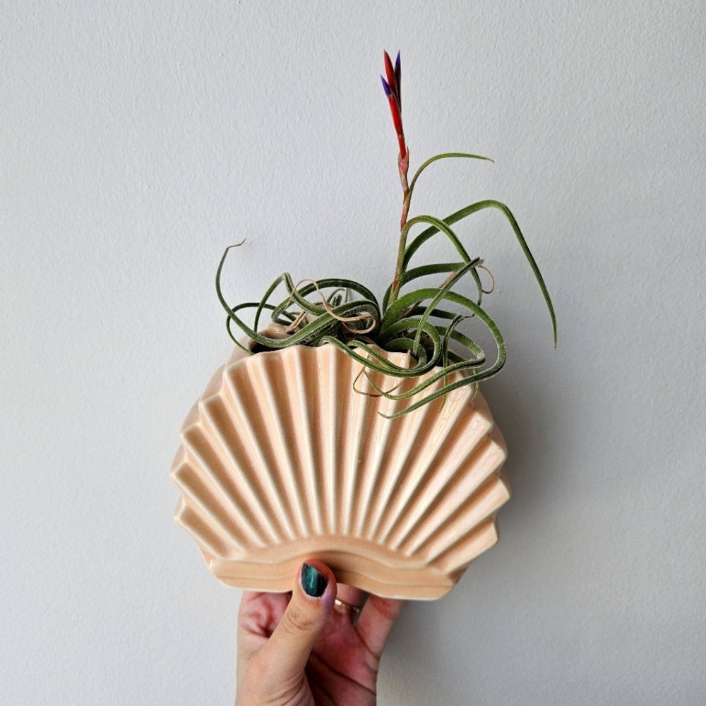 Peach Fan Art Deco Hanging Planter